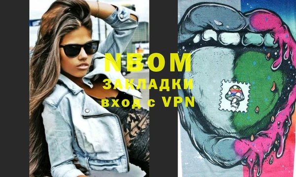 индика Михайловск