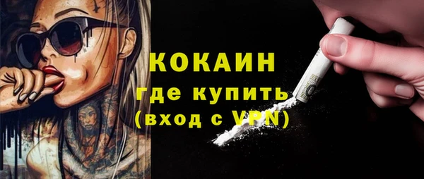 индика Михайловск