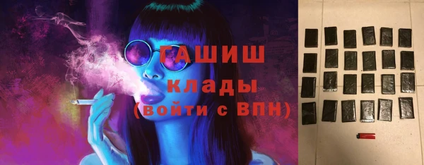 индика Михайловск