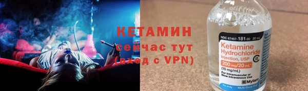 индика Михайловск