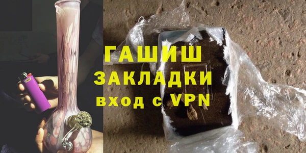 индика Михайловск