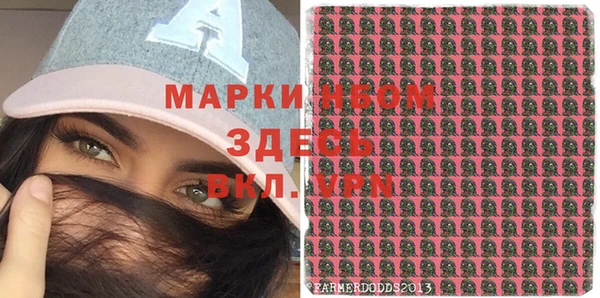 индика Михайловск