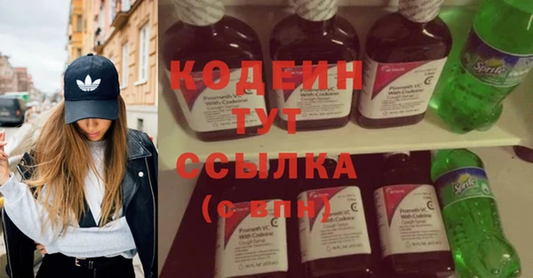 индика Михайловск