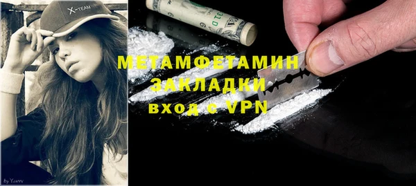 индика Михайловск