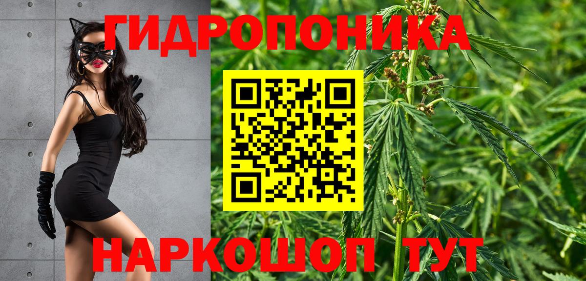 Канабис сатива  Вход с VPN  Марихуана гибрид  Марихуана семена  Усинск 